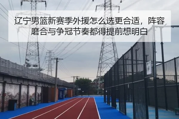 辽宁男篮新赛季外援怎么选更合适，阵容磨合与争冠节奏都得提前想明白 - manguantiyu